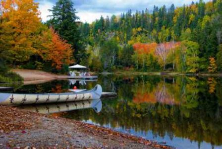 Southern Ontario: Homestead on Inexpensive, Low Tax Land Image
